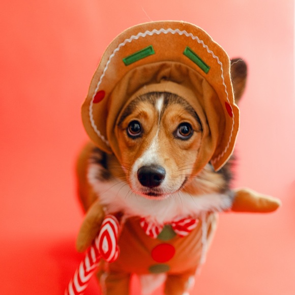bundle_n_save